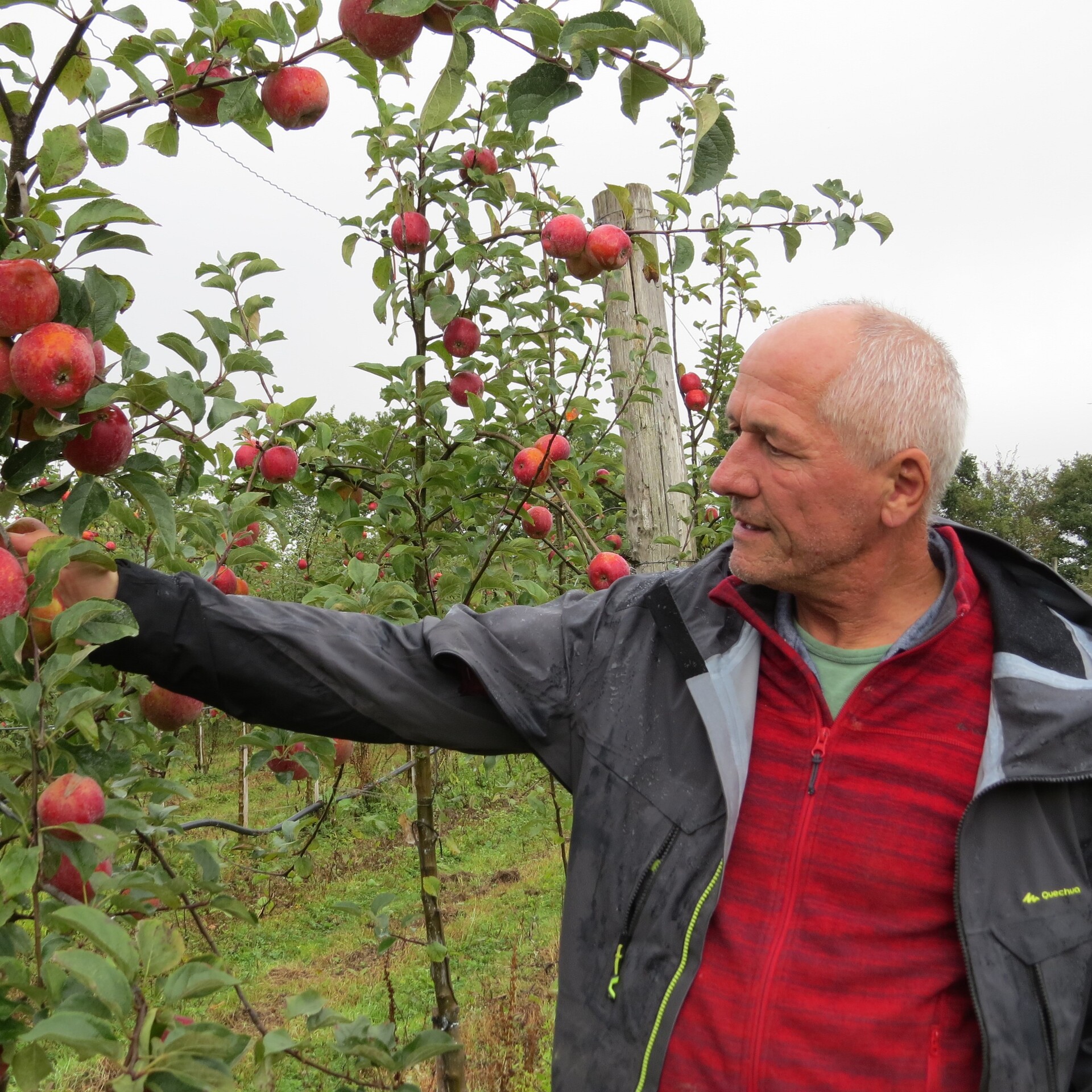 #Pommes : Jean-Yves Fillatre - Fructidor